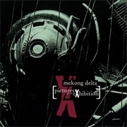 Pictures at an Exhibition - Mekong Delta