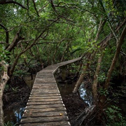 Pulau Selirong Recreational Park