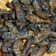 Mopane (Dried Caterpillars)