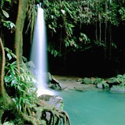 Emerald Pool Falls, Dominica