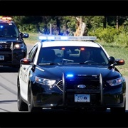 Back of a Cop Car