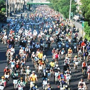 Bike Ride With 50 People