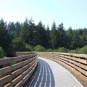 Banks-Vernonia State Trail, Oregon