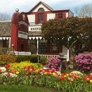 Grandma's Pies and Restaurant Colonie NY