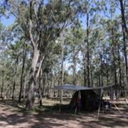 Wongi National Park (QLD)