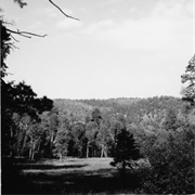 C. Hart Merriam Base Camp Site