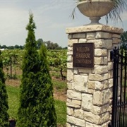 Willow Harbor Vineyard