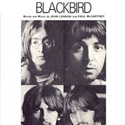 The Beatles - Blackbird