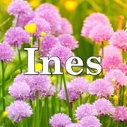 Ines
