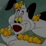 Chicks (Bird-Brain Bird Dog)