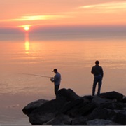 Selkirk Shores State Park, New York