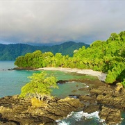 Utria National Park, Choco