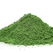 Chlorella