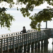 Cooper Lake State Park, Texas