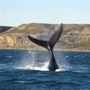 Chubut, Argentina