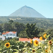 Pico Island, Azores, Portugal