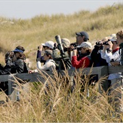 Robert Moses State Park, New York