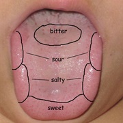 Losing Your Sense of Taste