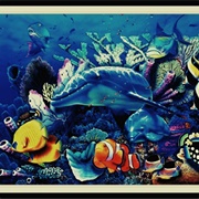 Under the Sea
