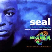 Fly Like an Eagle - Seal