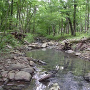 McCurtain County Wilderness Area, Oklahoma