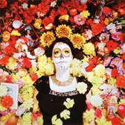 The Collection - Ars Moriendi