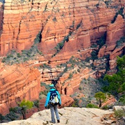 Trek Doe Mountain Trail