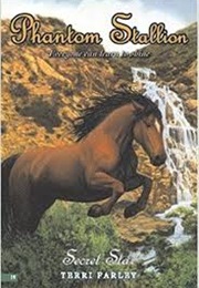 Secret Star (Terri Farley)