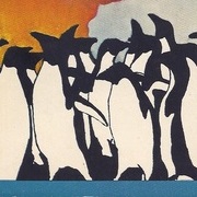 Penguins (Penguin Island)