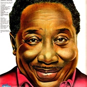 Muddy Waters - I'm Ready