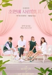 The Secret Life of My Secretary (2019)