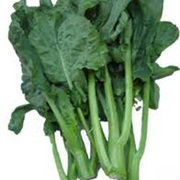 CHINESE BROCOLLI