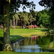 The Wisley (Church and Mill)