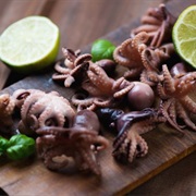 Baby Octopus