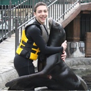 Swim With Sealions at West Edmonton Mall (AB)