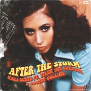 After the Storm - Kali Uchis Ft. Tyler, the Creator & Bootsy Collins