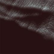 JK Flesh - Posthuman