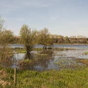 Bourgoyen-Ossemeersen Nature Reserve