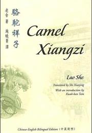 Camel Xiangzi