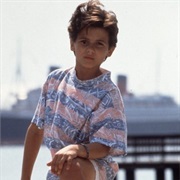 Hobie Buchannon (Jeremy Jackson)