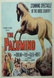 The Palamino - California the Horse