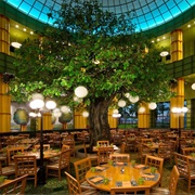 Garden Grove at the Swan