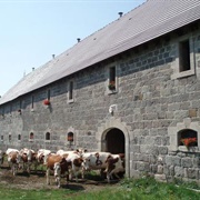 Cheese Trails, Auvergne, France