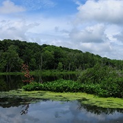 Chain O' Lakes State Park, Indiana