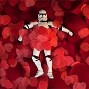 Storm Trooper American Beauty