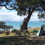 Beachfront Campground NZ
