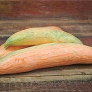 Candy Roaster Squash
