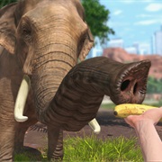 Feed an Elephant