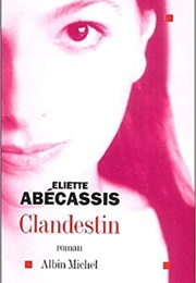 Clandestin (Éliette Abécassis)
