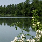 Portage Lakes State Park, Ohio
